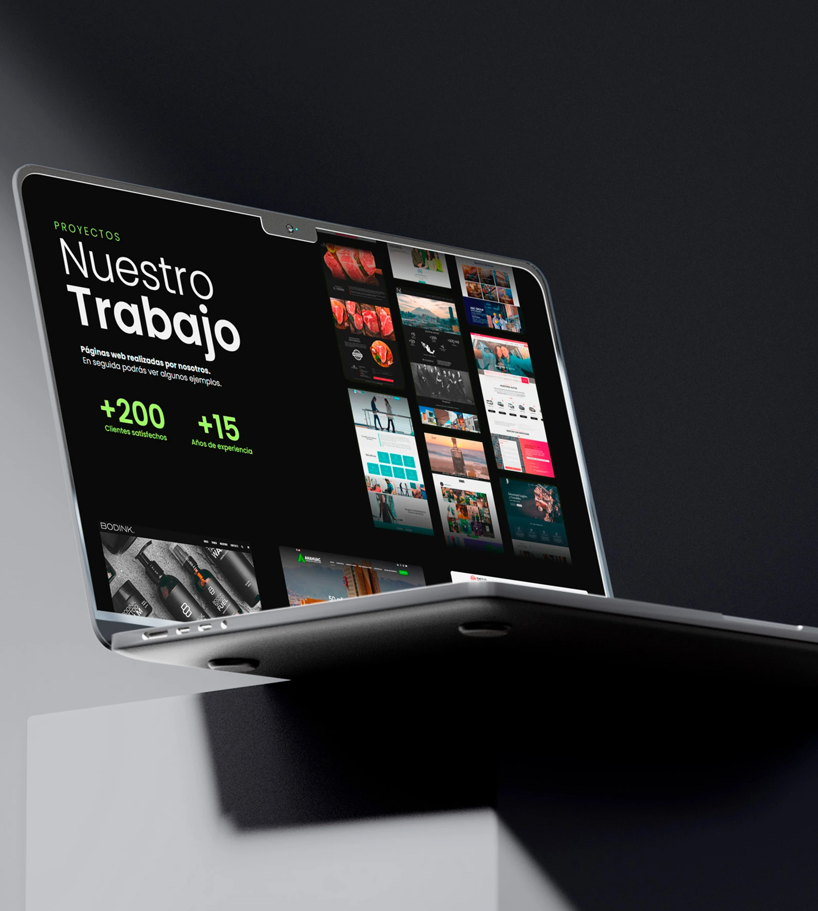 Diseño de paginas web en Playa del Carmen