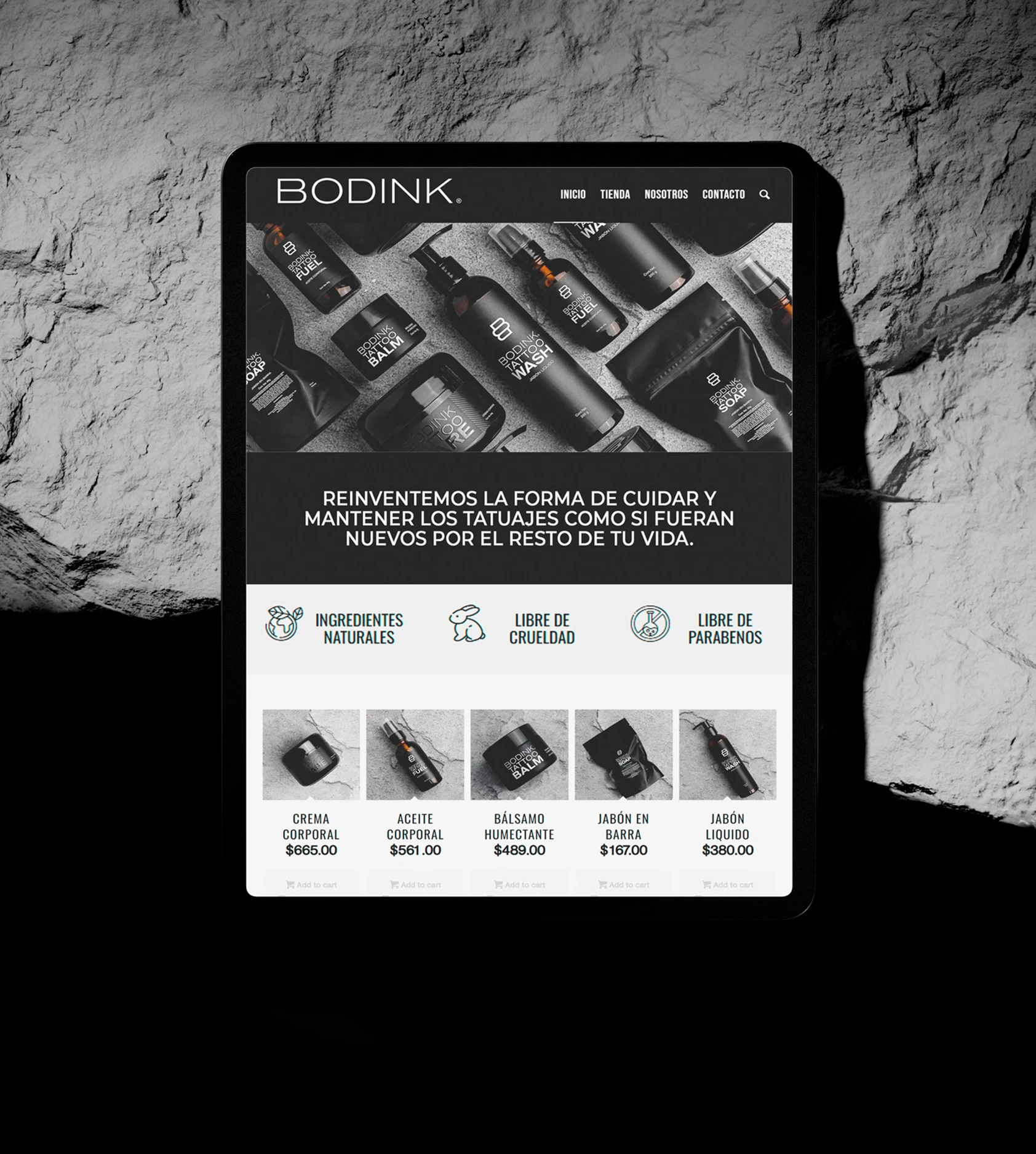 Diseño de paginas web en Playa del Carmen
